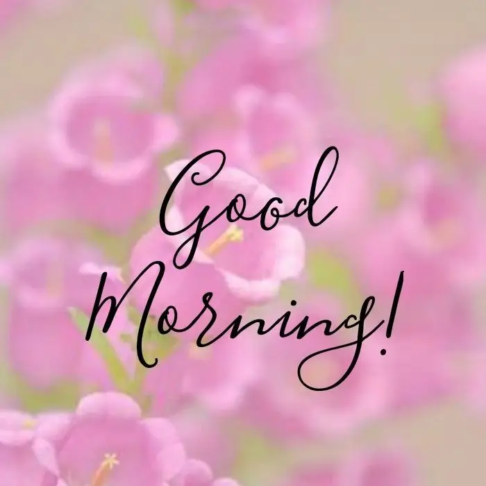 goodmorning images